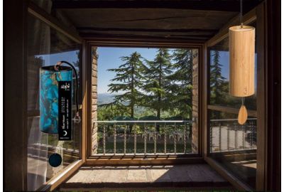 Koshi and Zaphir in Front of a Window